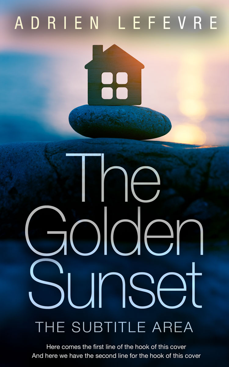 2D view of Silver Rust #29415 - Premade Business Book Cover