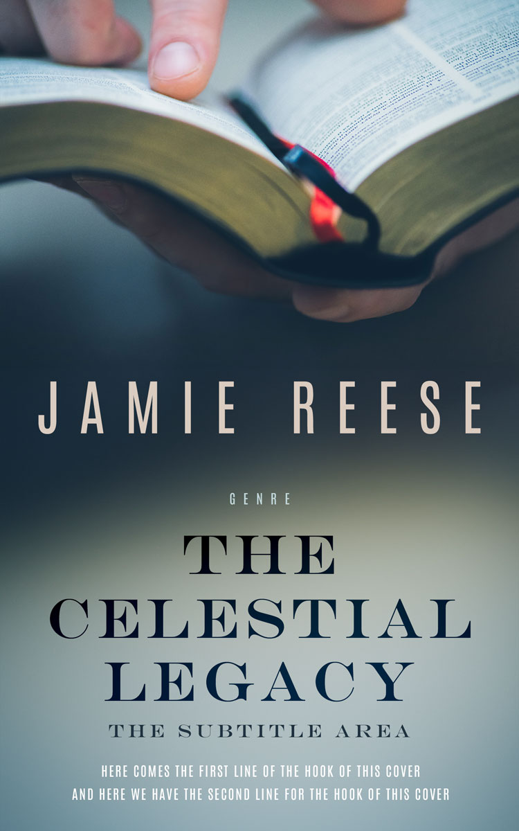 2D view of Limed Spruce #29742 - Premade Religion & Spirituality Book Cover