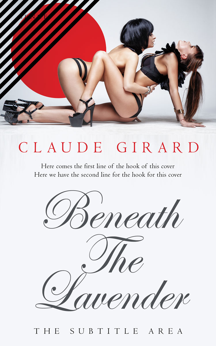 2D view of Gallery #29920 - Premade Erotica Book Cover | BookCoverZone