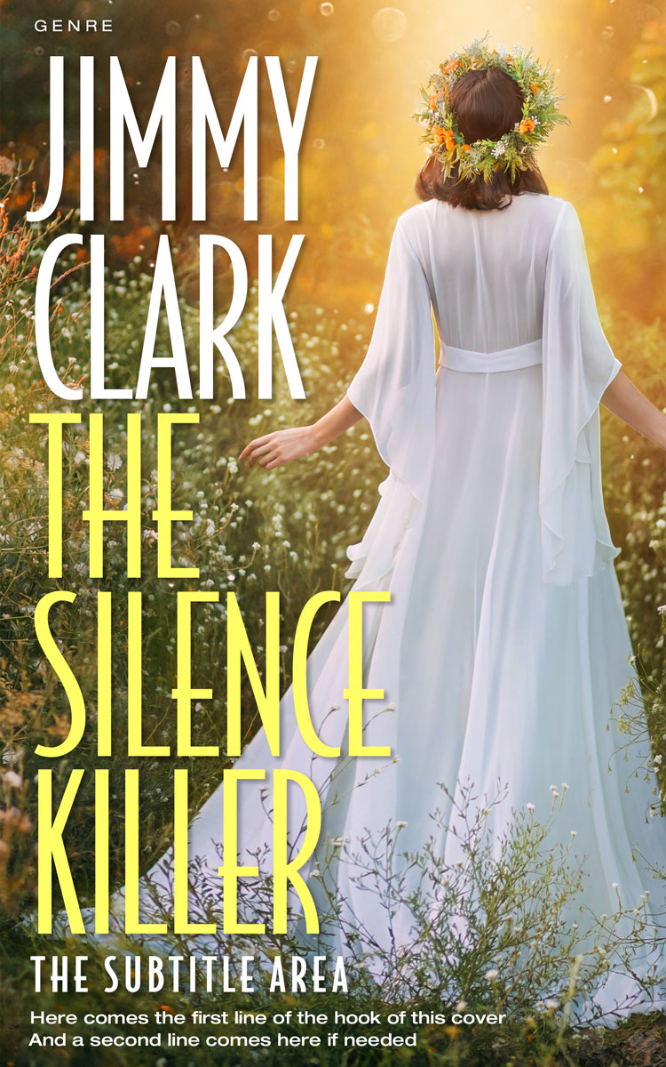 2D view of Premade Literary Fiction Book Cover - Driftwood