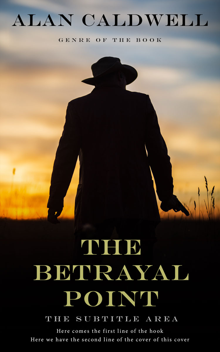 2D view of Sorrell Brown #31306 - Premade Action & Adventure Book Cover