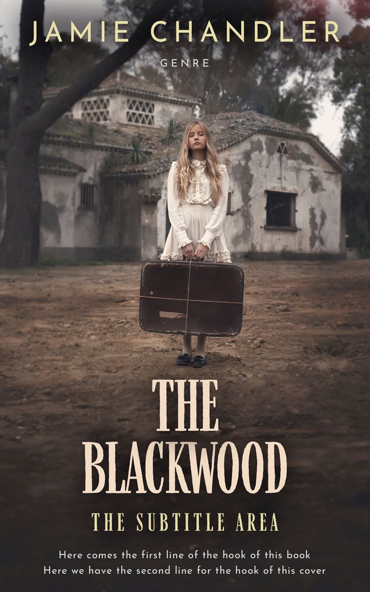 2D view of Merlin #31336 - Premade Horror Book Cover