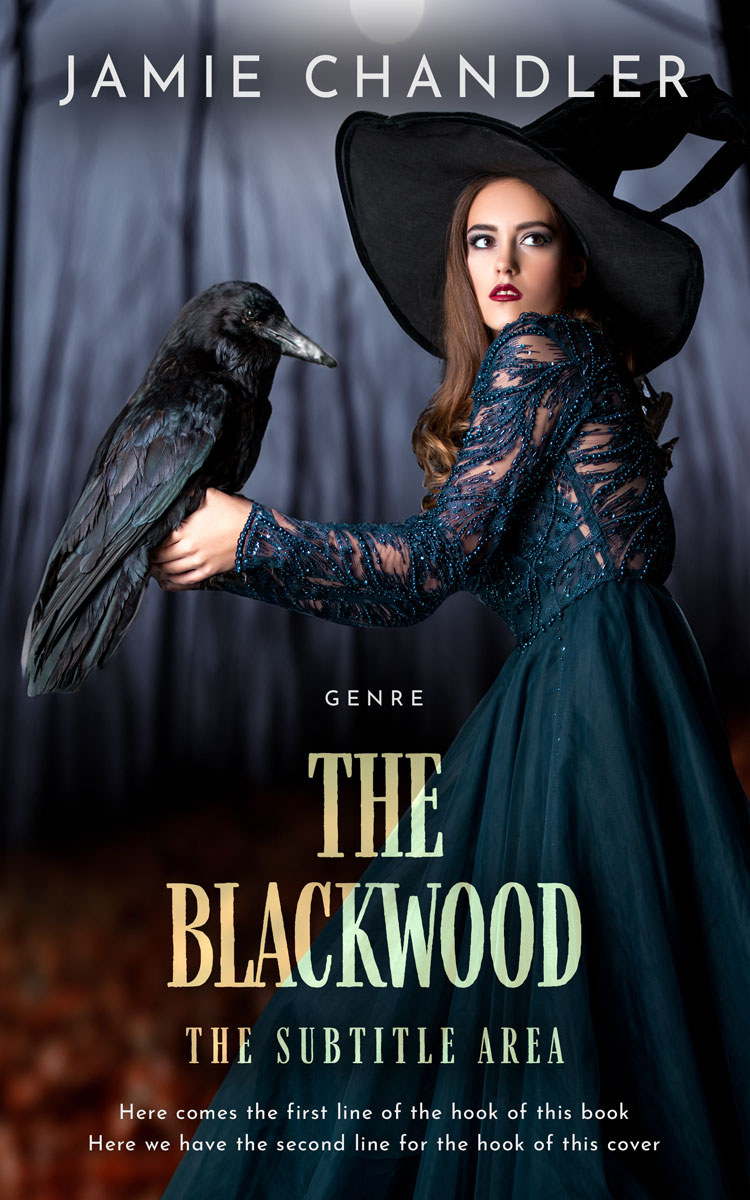 2D view of Bunker #31343 - Premade Fantasy Book Cover