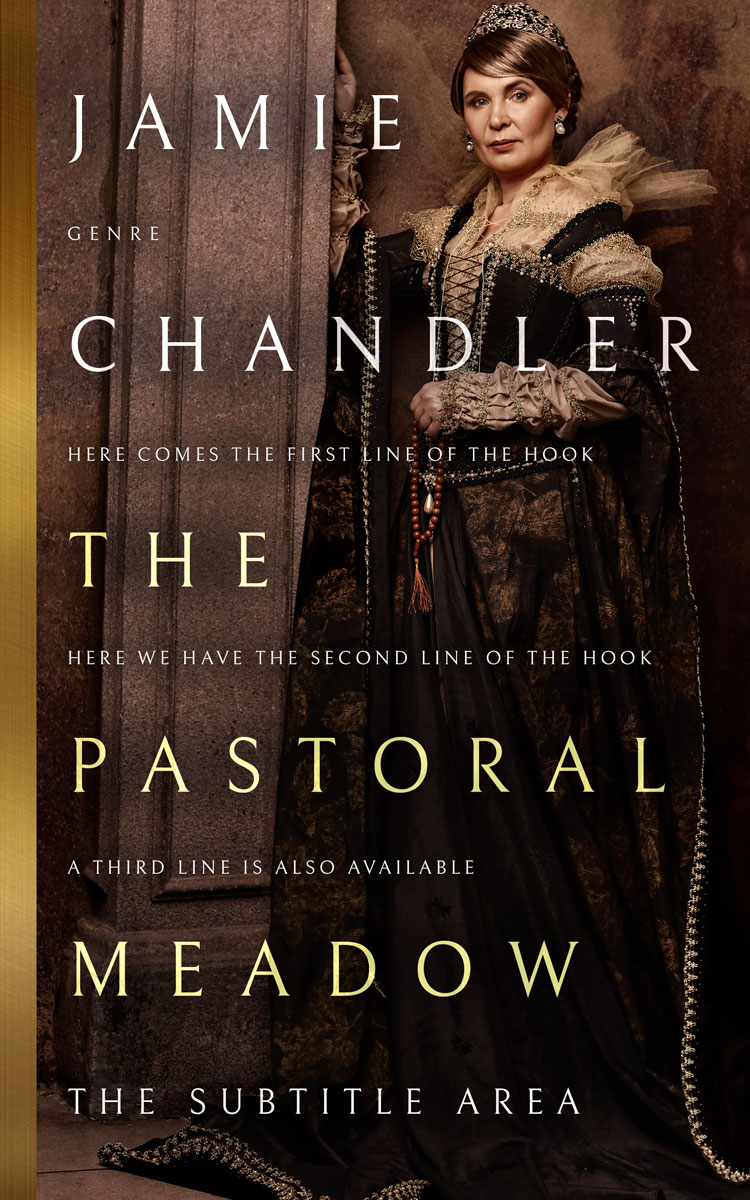 2D view of Night Rider #31485 - Premade Historical Book Cover