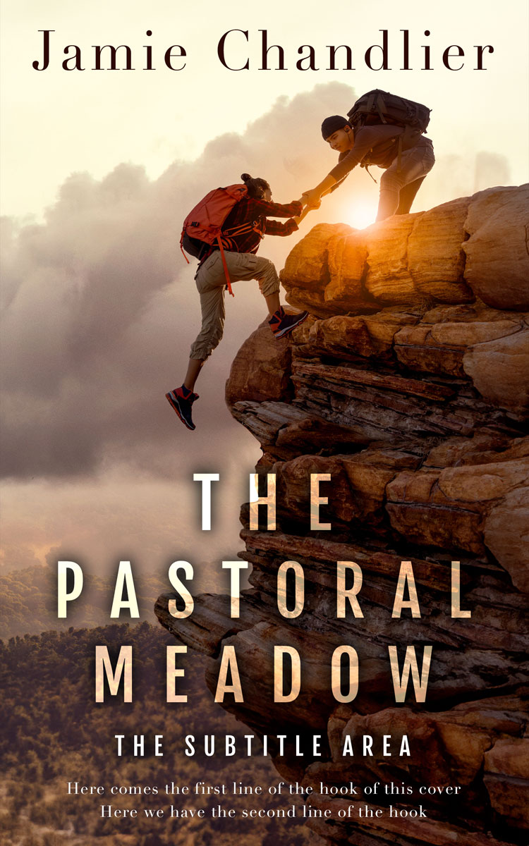 2D view of Premade Self-Improvement & Self-Help Book Cover - Cork