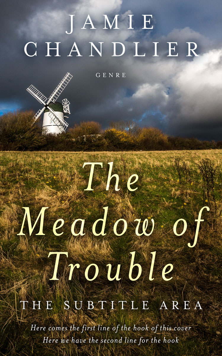 2D view of Birch #31573 - Premade Literary Fiction Book Cover