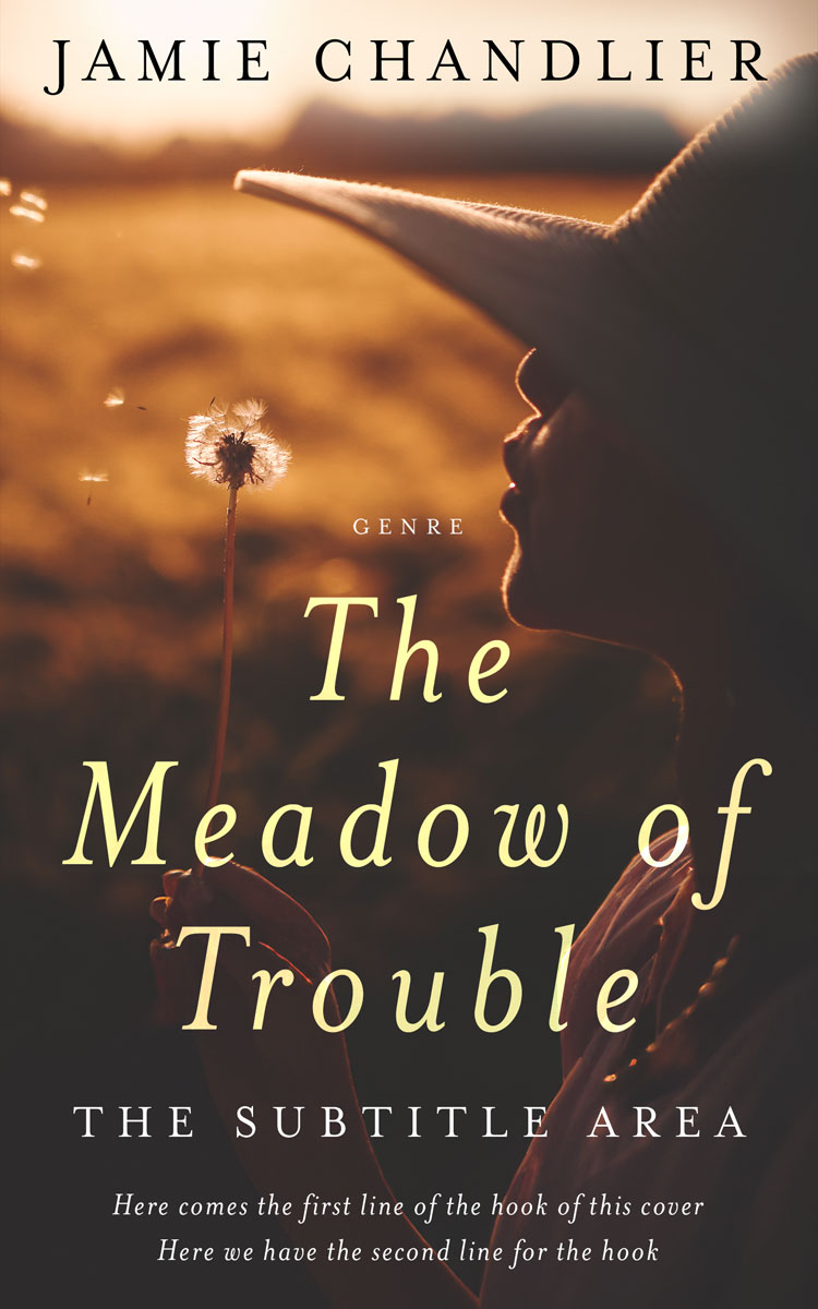 2D view of Premade Literary Fiction Book Cover - Tumbleweed