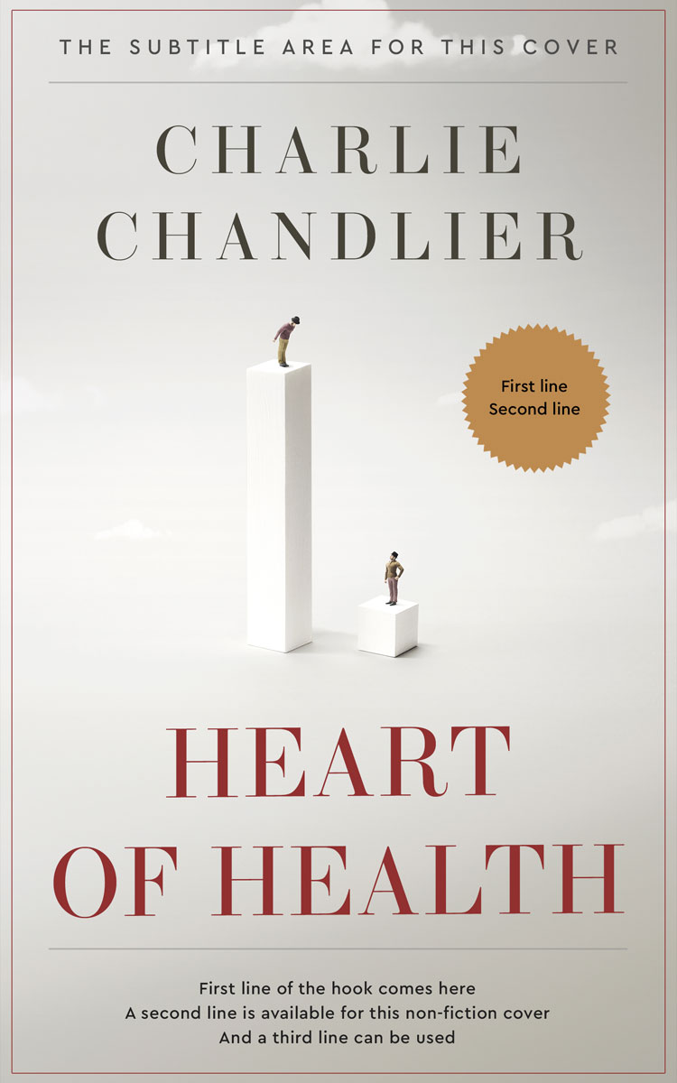 2D view of Quill Gray #31611 - Premade Self-Improvement & Self-Help Book Cover