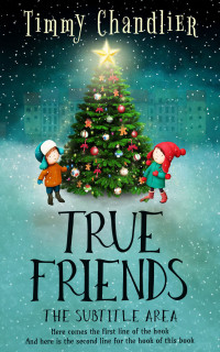 2D view of Premade Teen & Young Adult Book Cover - Breaker Bay