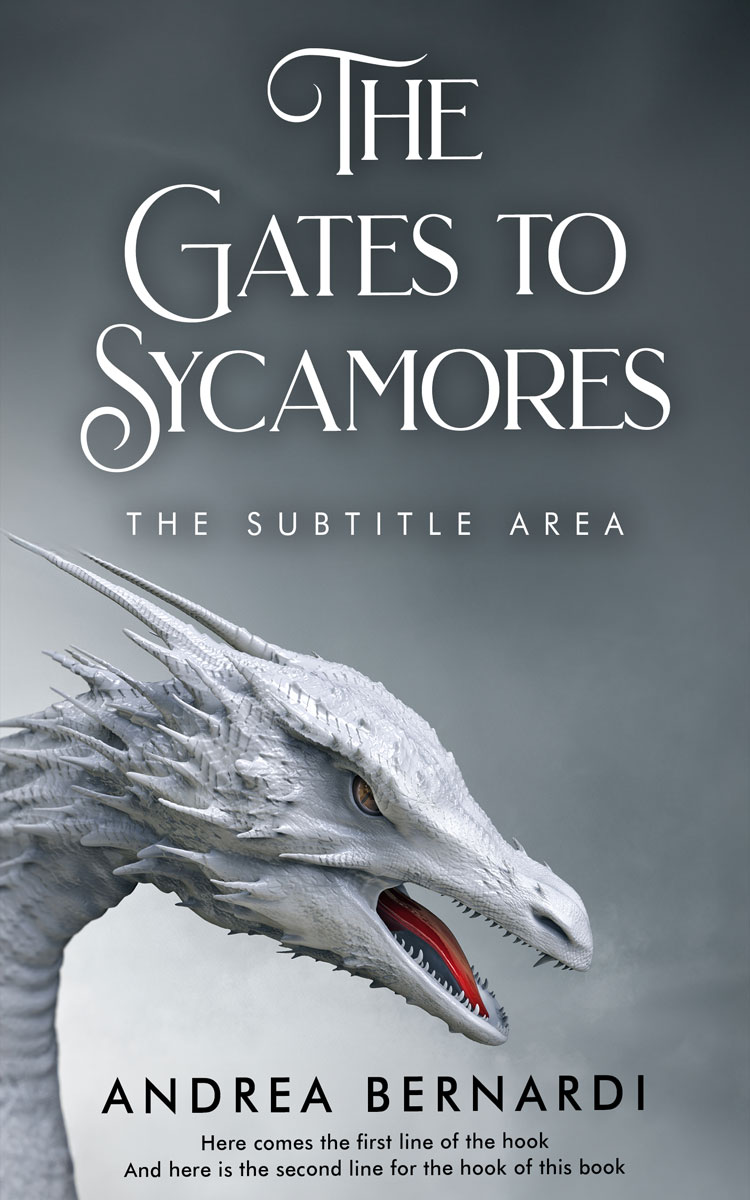 2D view of Premade Fantasy Book Cover - Shuttle Gray