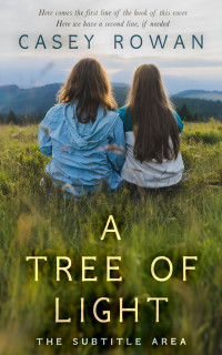 2D view of Unknown #31903 - Premade Literary Fiction Book Cover