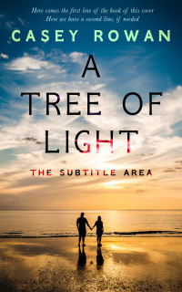 2D view of Premade Romance Book Cover - Rodeo Dust