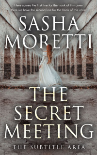 2D view of Premade Historical Book Cover - Flint