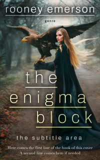 2D view of Heavy Metal #32401 - Premade Fantasy Book Cover