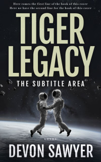 2D view of Foggy Gray #32683 - Premade Science Fiction Book Cover