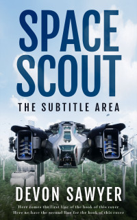 2D view of Big Stone #32693 - Premade Science Fiction Book Cover