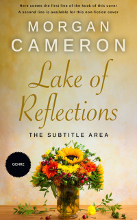 2D view of Sorrell Brown #32962 - Premade Abstract Book Cover