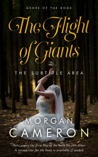 2D view of Eternity #33080 - Premade Paranormal & Urban Book Cover