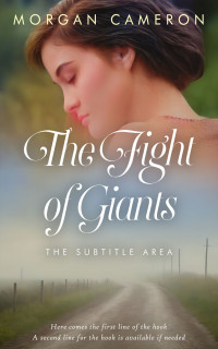 2D view of Premade Romance Book Cover - Stonewall