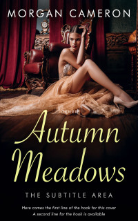 2D view of Teak #33123 - Premade Chick Lit Book Cover