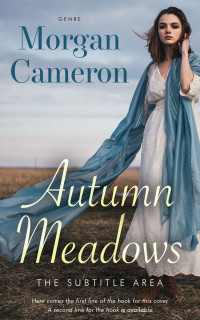 2D view of Silver Sand #33125 - Premade Historical Book Cover