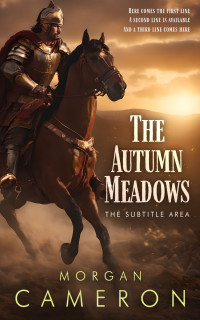 2D view of Cork #33154 - Premade Fantasy Book Cover