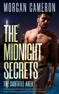 2D view of Soft Amber #33171 - Premade Erotica Book Cover