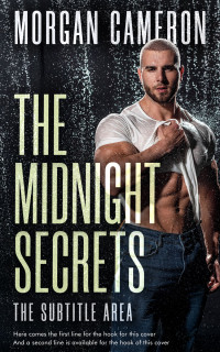 2D view of Foggy Gray #33173 - Premade Erotica Book Cover