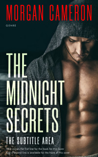 2D view of Premade Erotica Book Cover - Cameo