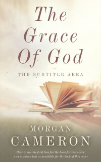 2D view of Premade Surreal Book Cover - White Rock