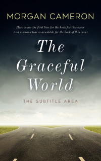 2D view of Moon Mist #33217 - Premade Travel Book Cover