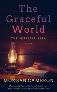 2D view of Premade Religion & Spirituality Book Cover - Mirage