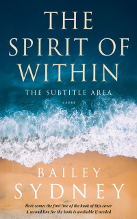 2D view of Teal Blue #33317 - Premade Travel Book Cover