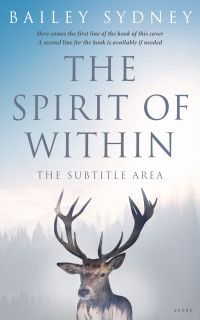 2D view of Geyser #33318 - Premade Surreal Book Cover