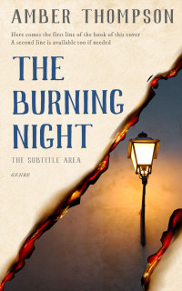 2D view of Premade Mystery & Thriller & Suspense Book Cover - Janna