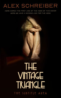 2D view of Night Rider #34809 - Premade Erotica Book Cover