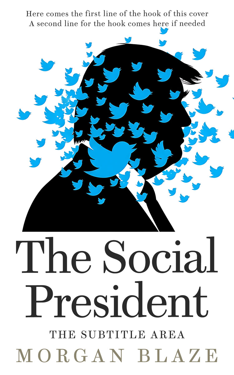 2D view of Premade Politics & Law & Society Book Cover - Pumice