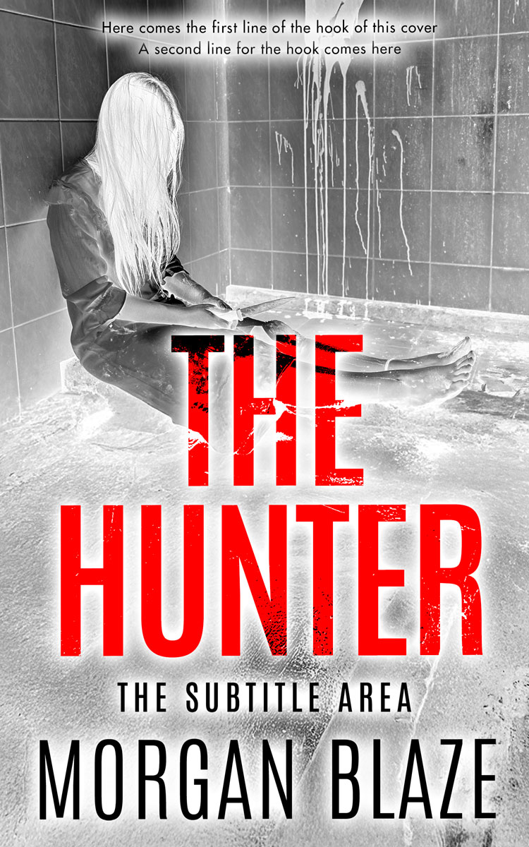 2D view of Premade Horror Book Cover - Silver