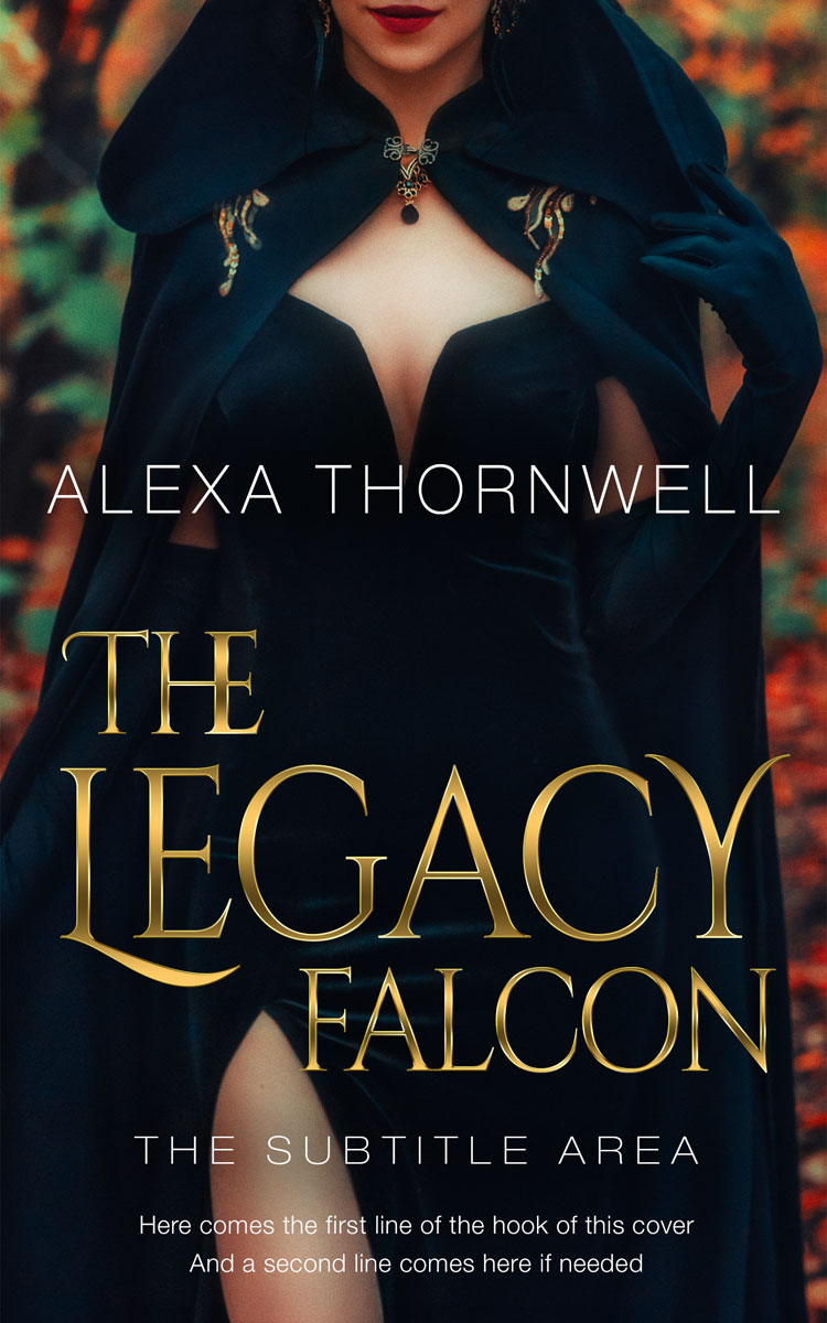 2D view of Custom & Premade Paranormal & Urban Book Cover - Ebony #35924 | BookCoverZone*