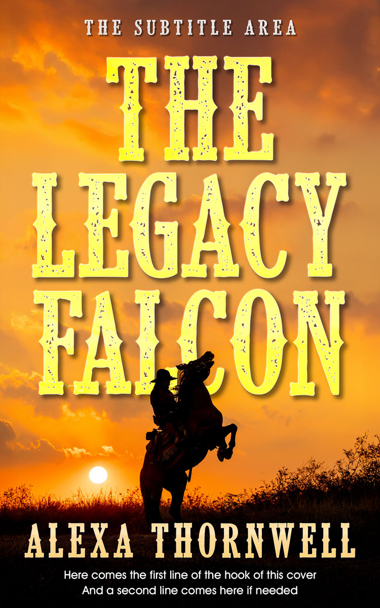 2D view of Custom & Premade Western Book Cover - Brandy Punch #36000 | BookCoverZone*