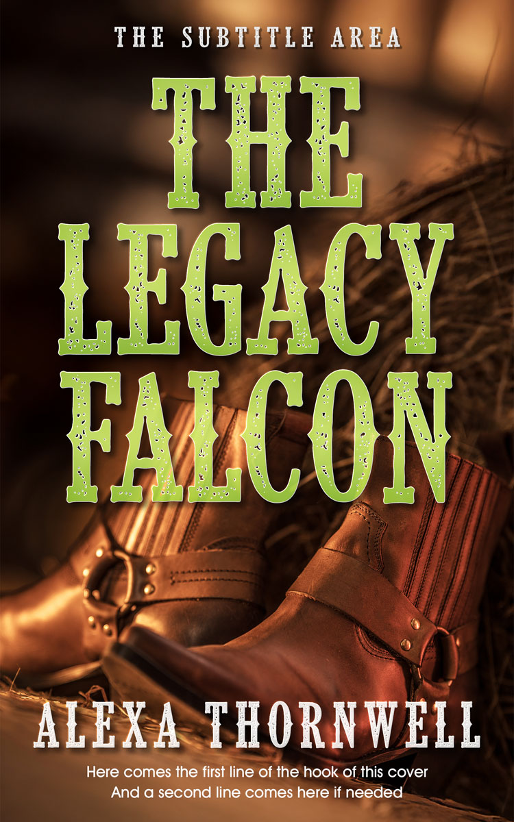 2D view of Custom & Premade Western Book Cover - Sambuca #36016 | BookCoverZone*