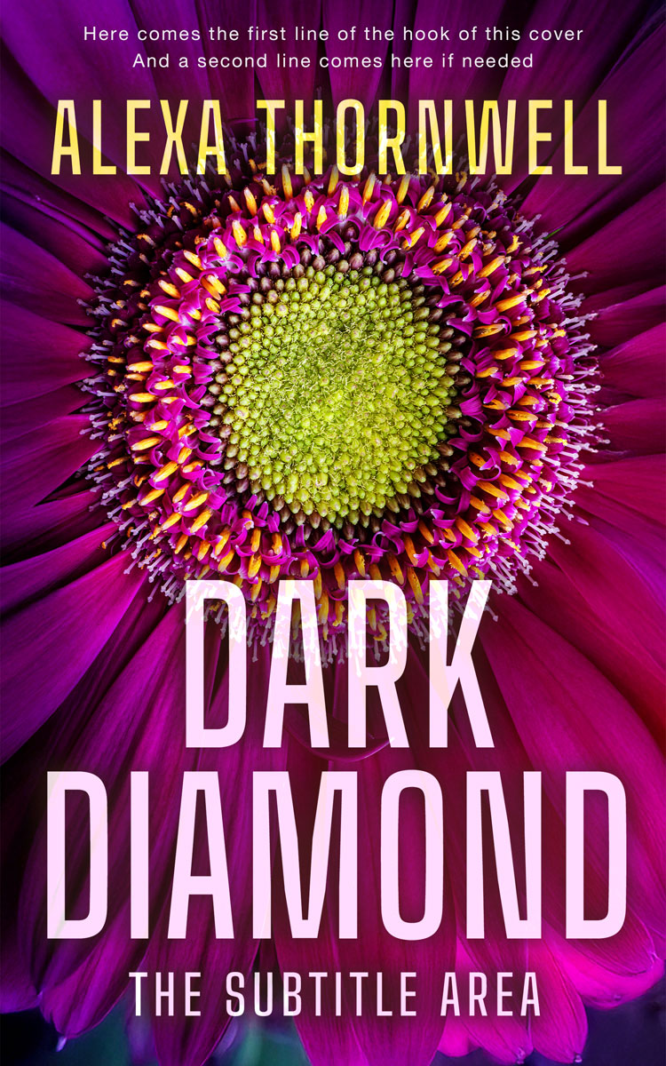 2D view of Custom & Premade Abstract Book Cover - Loulou #36045 | BookCoverZone*