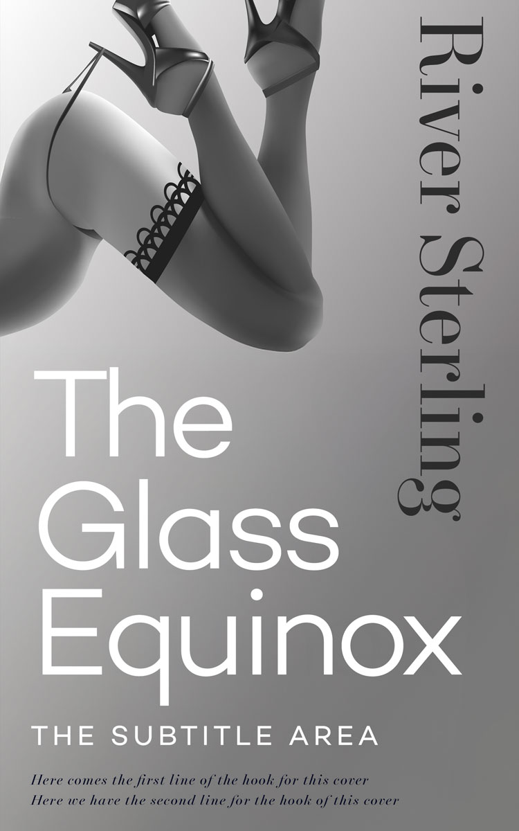 2D view of Custom & Premade Erotica Book Cover - Gray #36160 | BookCoverZone*