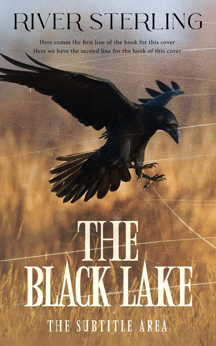 2D view of Premade Mystery & Thriller & Suspense Book Cover - Leather #36291 | BookCoverZone*