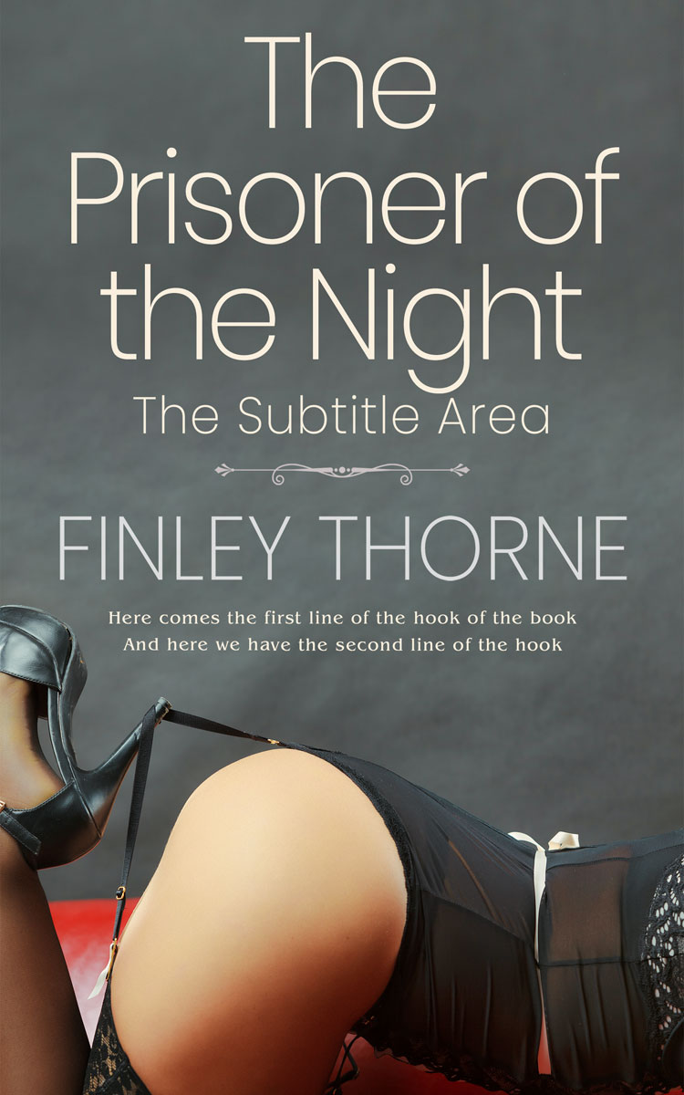 2D view of Premade Erotica Book Cover - Storm Dust #36369 | BookCoverZone*