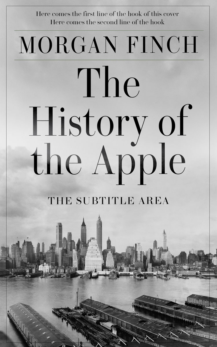 2D view of Premade Historical Book Cover - Silver #36844 | BookCoverZone*