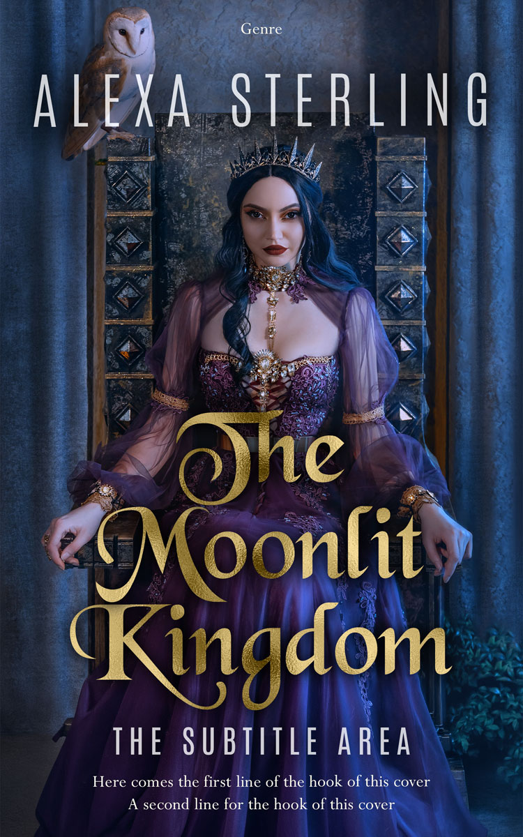 2D view of Premade Fantasy Book Cover - Ebony Clay #37017 | BookCoverZone*
