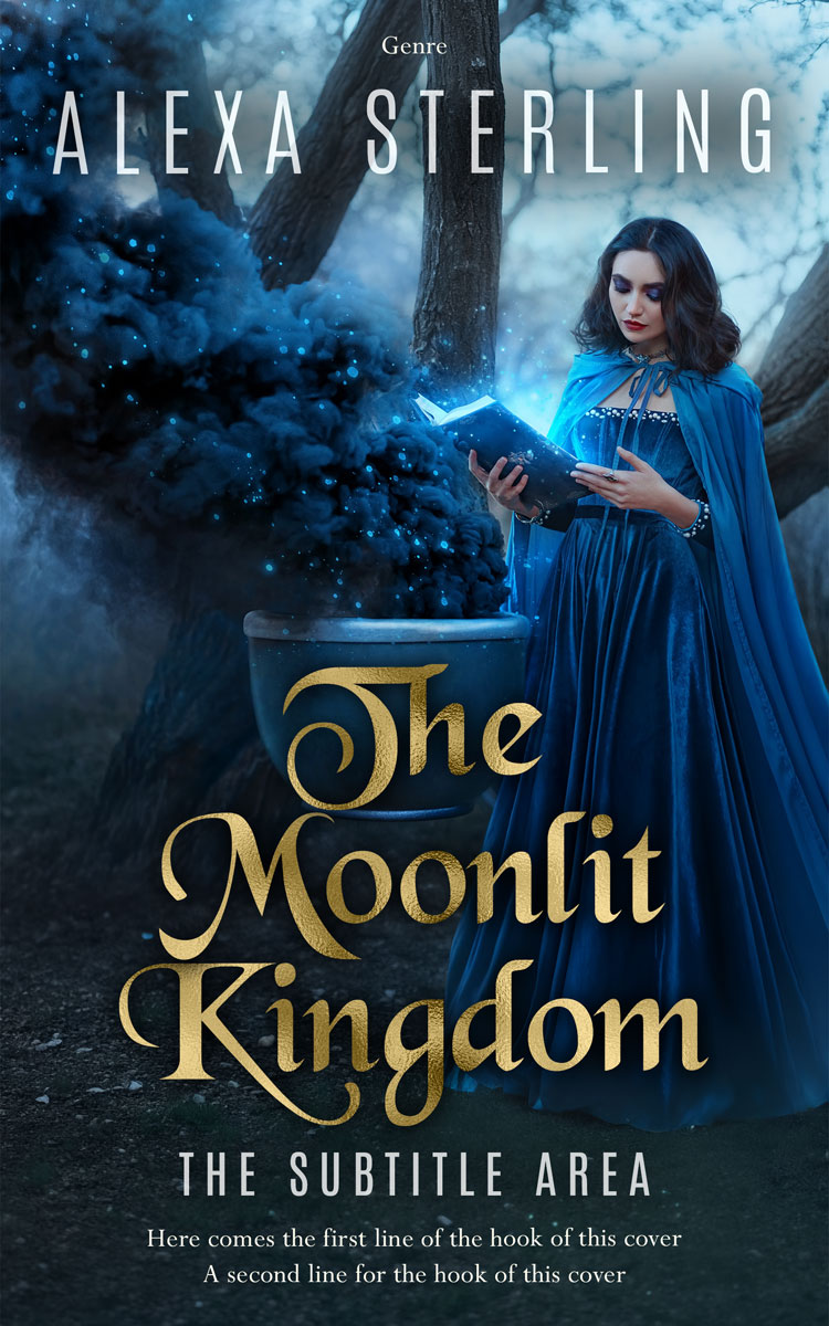 2D view of Premade Fantasy Book Cover - Big Stone #37018 | BookCoverZone*