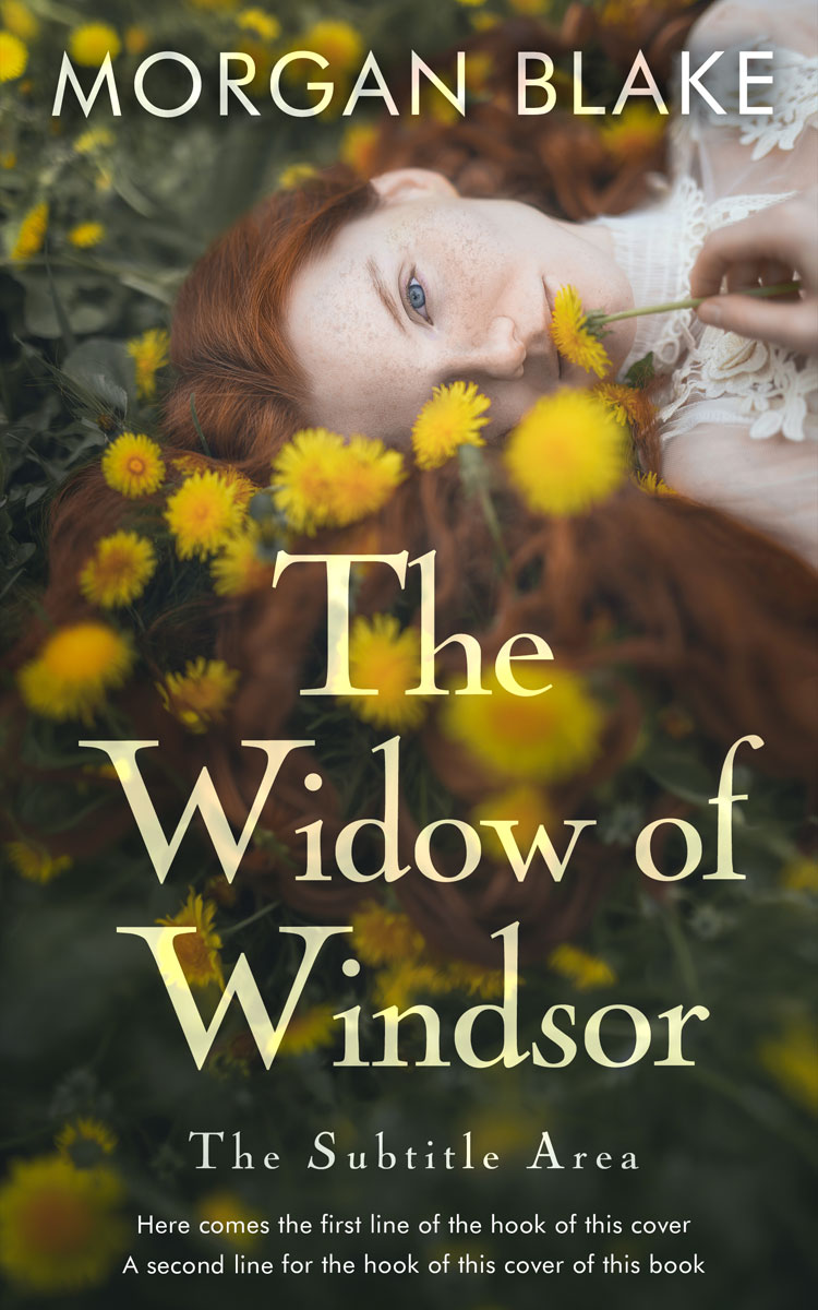 2D view of Premade Romance Book Cover - Birch #37336 | BookCoverZone