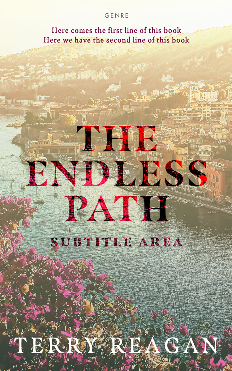 2D view of Heathered Gray #50025 - Premade Travel Book Cover